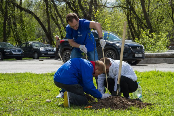 Древо памяти от «Уральского завода противогололедных материалов»