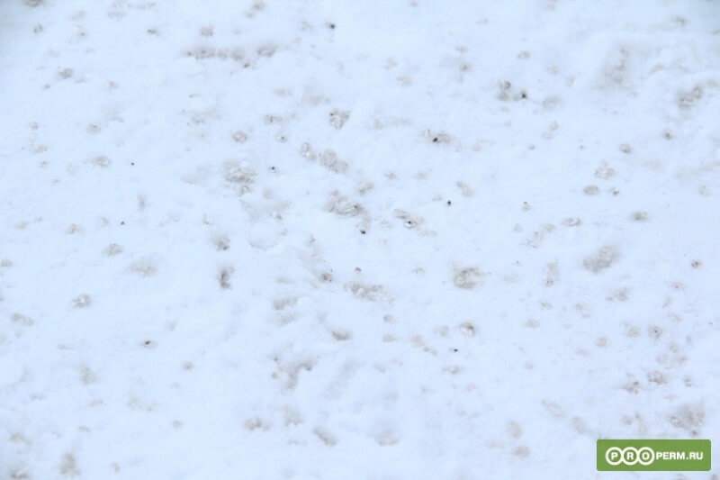 Лабораторная работа Properm.ru. От каких реагентов на дорогах Перми появляется грязь?, рис. 7
