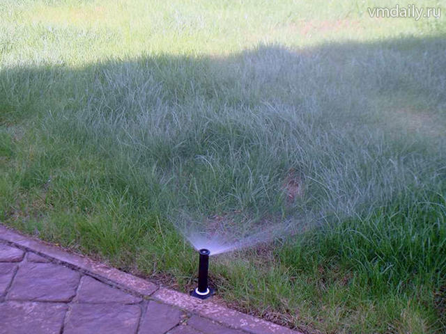 ПГМ безвредны для газонов