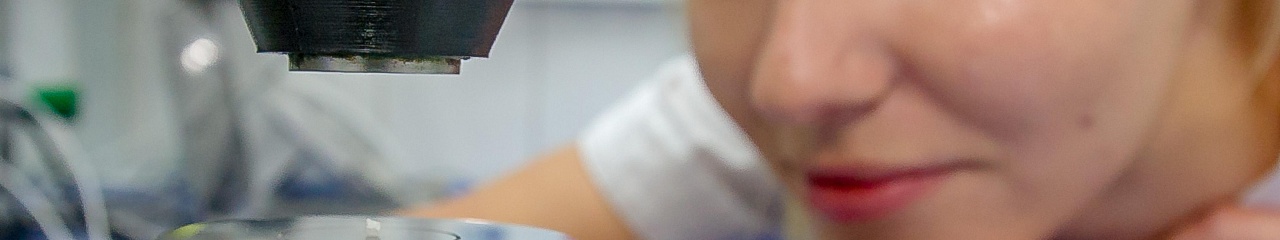 «Бионорд» против разъединяющего льда